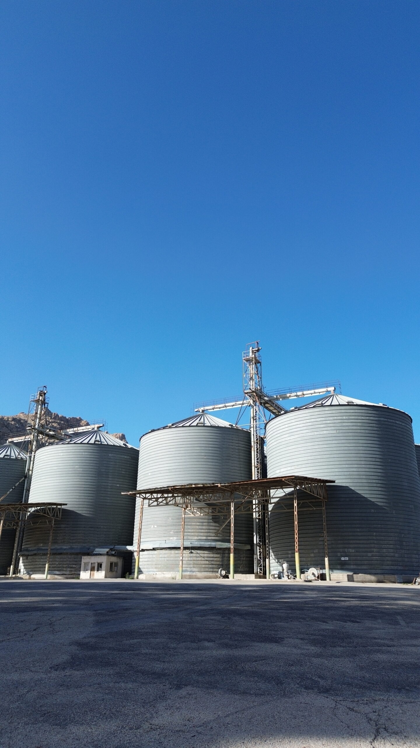 dcim100mediadji 0639.jpg